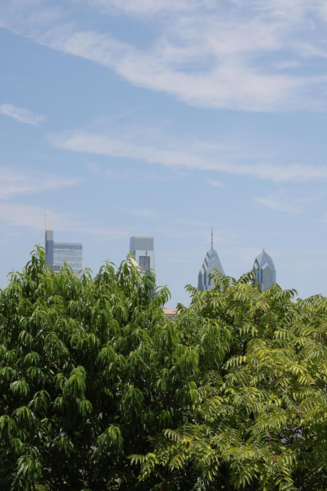 Peaceful Zen Getaway In The City Philadelphia Eksteriør billede